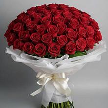 Букет 101 Красная роза Блэк Мэджик в Варгаши