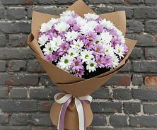 Букет цветов из:  Хризантемы #REPLACE_PRED# Варгаши