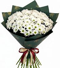 Букет цветов из:  Хризантемы #REPLACE_PRED# Варгаши