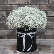 Цветочная композиция из Гипсофила в шляпной коробке в Варгаши