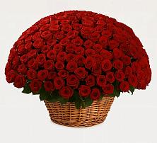 Премиум букет из: Розы в Варгаши