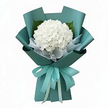 Букет цветов из:  Гортензия #REPLACE_PRED# Варгаши